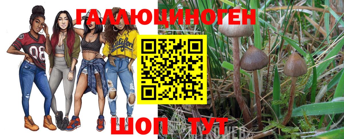 Галлюциногенные грибы Magic Shrooms Кстово